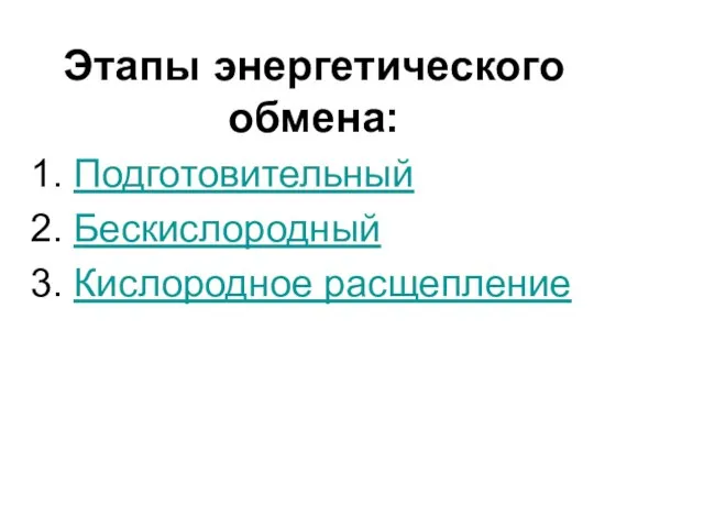 Этапы энергетического обмена: 1. Подготовительный 2. Бескислородный 3. Кислородное расщепление