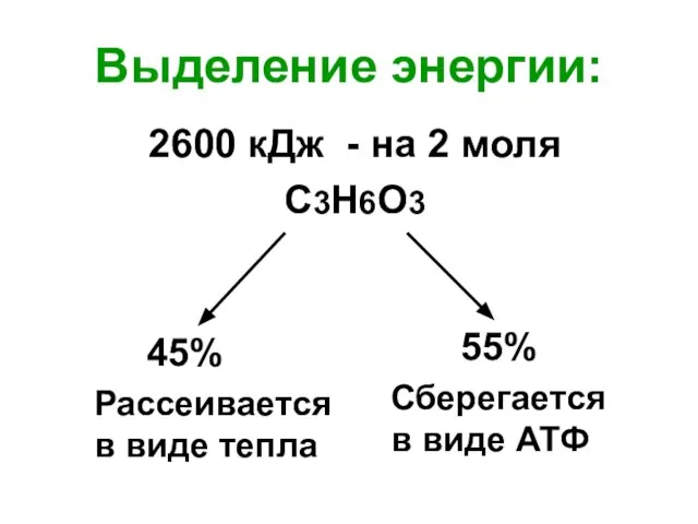 Выделение энергии: 2600 кДж - на 2 моля С3Н6О3 45% Рассеивается в