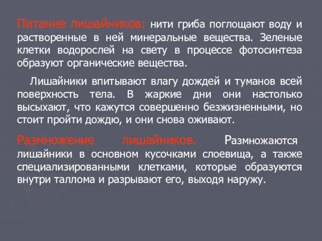 Питание лишайников: нити гриба поглощают воду и растворенные в ней минеральные вещества.