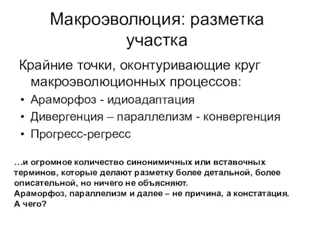 Макроэволюция: разметка участка Крайние точки, оконтуривающие круг макроэволюционных процессов: Араморфоз - идиоадаптация