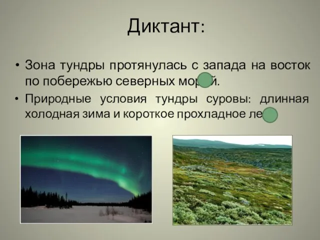 Диктант: Зона тундры протянулась с запада на восток по побережью северных морей.