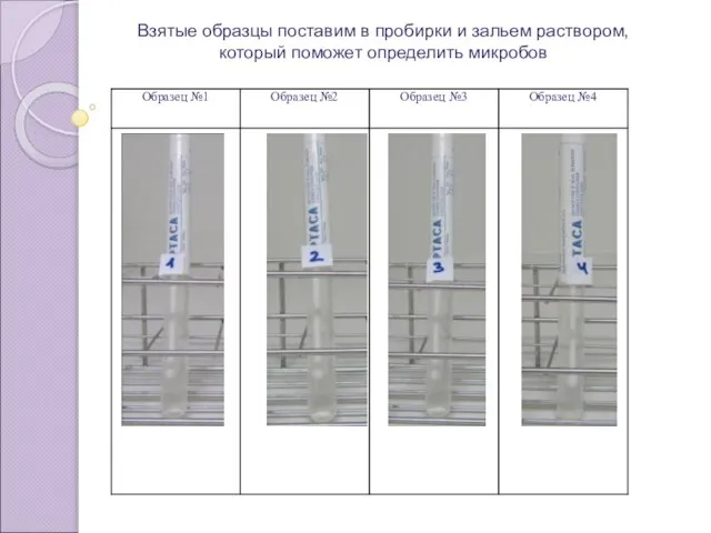 Взятые образцы поставим в пробирки и зальем раствором, который поможет определить микробов