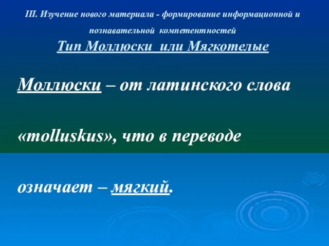 III. Изучение нового материала - формирование информационной и познавательной компетентностей Тип Моллюски