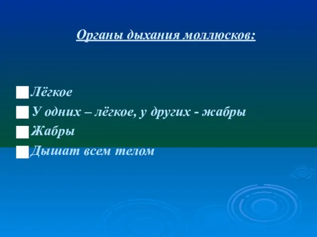 Органы дыхания моллюсков: Лёгкое У одних – лёгкое, у других - жабры Жабры Дышат всем телом