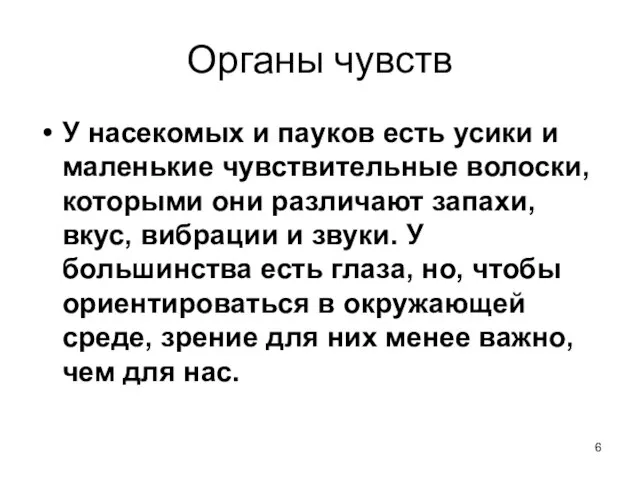 Органы чувств У насекомых и пауков есть усики и маленькие чувствительные волоски,