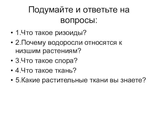 Подумайте и ответьте на вопросы: 1.Что такое ризоиды? 2.Почему водоросли относятся к