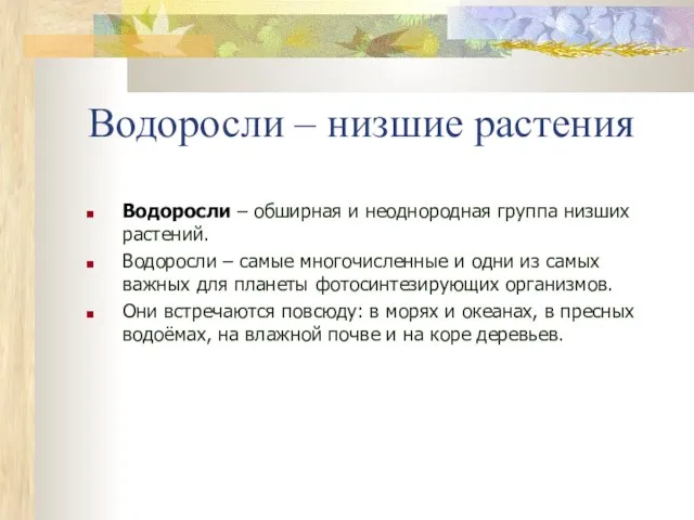 Водоросли – низшие растения Водоросли – обширная и неоднородная группа низших растений.