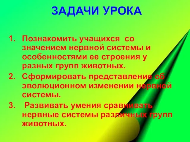 ЗАДАЧИ УРОКА Познакомить учащихся со значением нервной системы и особенностями ее строения