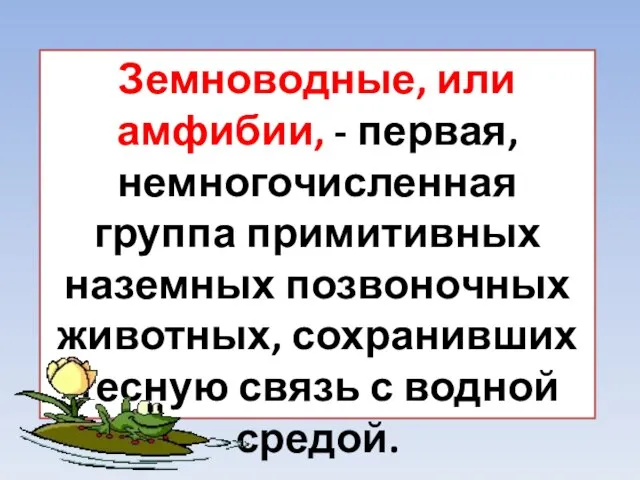 Земноводные, или амфибии, - первая, немногочисленная группа примитивных наземных позвоночных животных, сохранивших