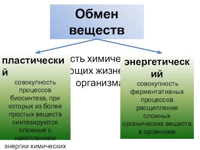 Обмен веществ это совокупность химических процессов, обеспечивающих жизнедеятельность организма пластический совокупность процессов