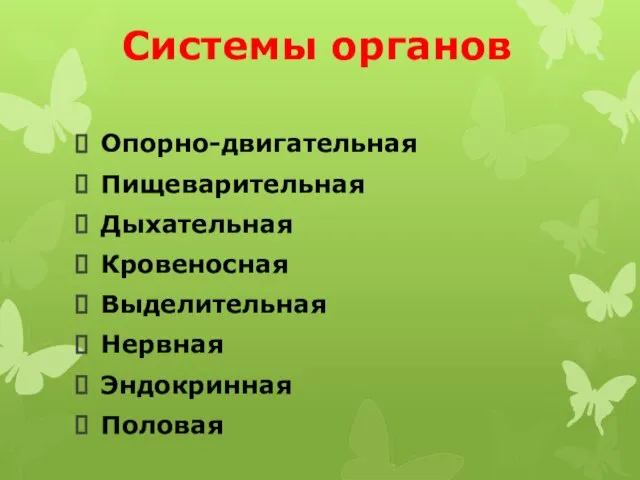 Системы органов Опорно-двигательная Пищеварительная Дыхательная Кровеносная Выделительная Нервная Эндокринная Половая