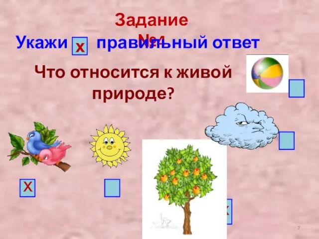 Задание №4 Укажи правильный ответ х Что относится к живой природе? х х