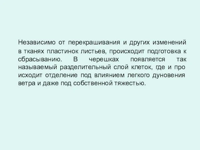 Независимо от перекрашивания и других изменений в тканях пластинок листьев, происходит подготовка