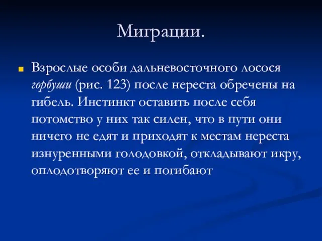 Миграции. Взрослые особи дальневосточного лосося горбуши (рис. 123) после нереста обречены на