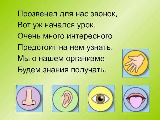 Прозвенел для нас звонок, Вот уж начался урок. Очень много интересного Предстоит