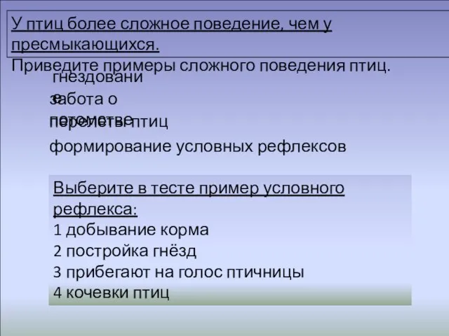 У птиц более сложное поведение, чем у пресмыкающихся. Приведите примеры более сложного