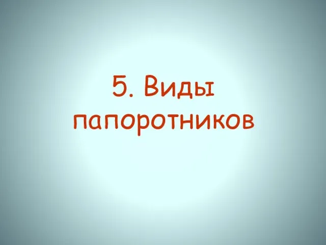 5. Виды папоротников