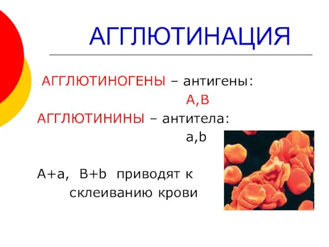 АГГЛЮТИНАЦИЯ АГГЛЮТИНОГЕНЫ – антигены: А,В АГГЛЮТИНИНЫ – антитела: a,b А+а, B+b приводят к склеиванию крови