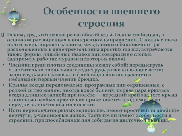 Особенности внешнего строения Голова, грудь и брюшко резко обособлены. Голова свободная, в