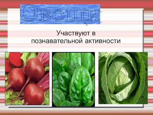 Участвуют в познавательной активности Овощи