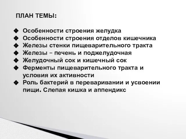 ПЛАН ТЕМЫ: Особенности строения желудка Особенности строения отделов кишечника Железы стенки пищеварительного