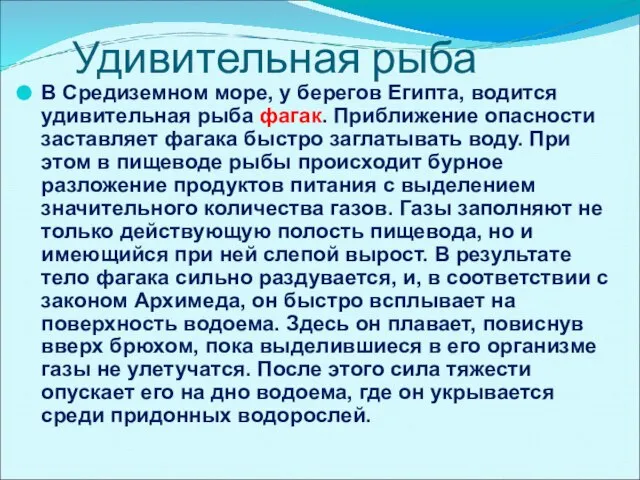 Удивительная рыба В Средиземном море, у берегов Египта, водится удивительная рыба фагак.