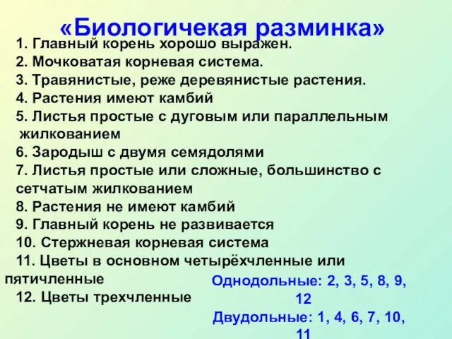 «Биологичекая разминка» 1. Главный корень хорошо выражен. 2. Мочковатая корневая система. 3.