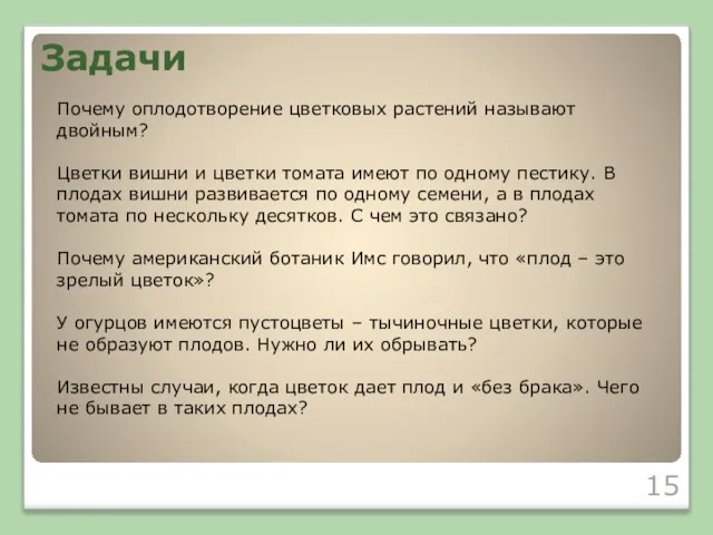 Задачи Почему оплодотворение цветковых растений называют двойным? Цветки вишни и цветки томата