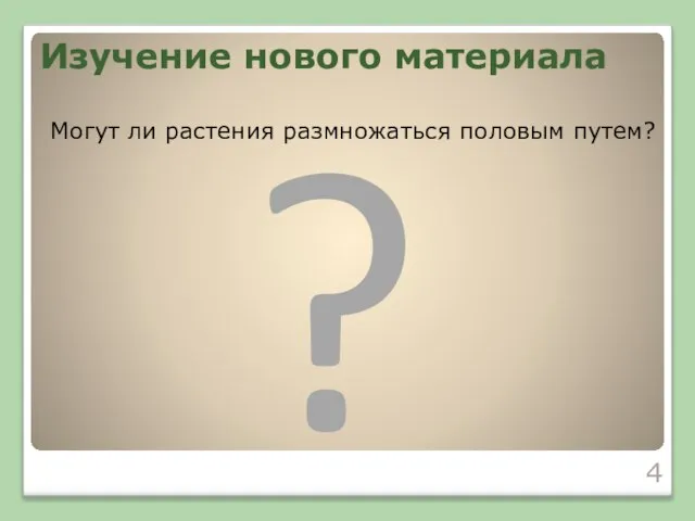 Могут ли растения размножаться половым путем? ? Изучение нового материала