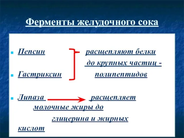 Ферменты желудочного сока Пепсин расщепляют белки до крупных частиц - Гастриксин полипептидов