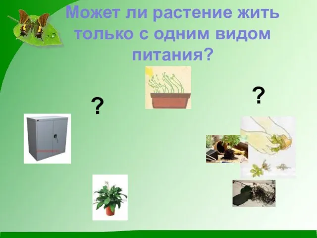 Может ли растение жить только с одним видом питания? ? ?