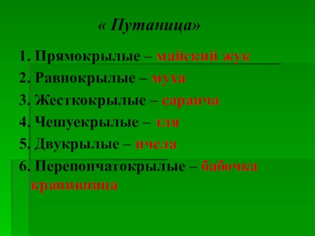 « Путаница» 1. Прямокрылые – майский жук 2. Равнокрылые – муха 3.