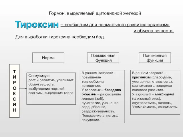 Гормон, выделяемый щитовидной железой – необходим для нормального развития организма и обмена