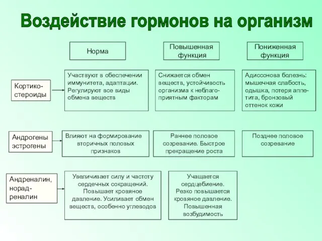 Норма Повышенная функция Пониженная функция Кортико- стероиды Участвуют в обеспечении иммунитета, адаптации.