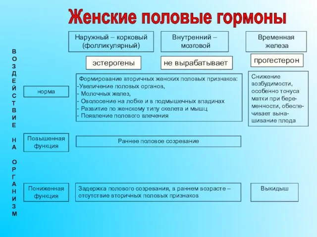 Наружный – корковый (фолликулярный) Внутренний – мозговой Временная железа эстерогены прогестерон не