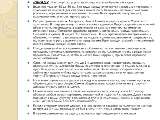 КАКАДУ (Psyctolophus), род птиц отряда попугаеобразных, 6 видов. Величина тела от 35