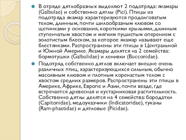 В отряде дятлобразных выделяют 2 подотряда: якамары (Galbulae) и собственно дятлы (Pici).