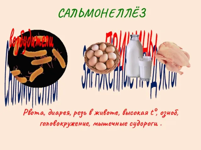 ЗАРАЖЁННЫЕ ПРОДУКТЫ САЛЬМОНЕЛЛЫ САЛЬМОНЕЛЛЁЗ возбудители ПРИЧИНЫ Рвота, диарея, резь в животе, высокая