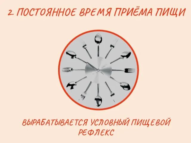 2. ПОСТОЯННОЕ ВРЕМЯ ПРИЁМА ПИЩИ ВЫРАБАТЫВАЕТСЯ УСЛОВНЫЙ ПИЩЕВОЙ РЕФЛЕКС