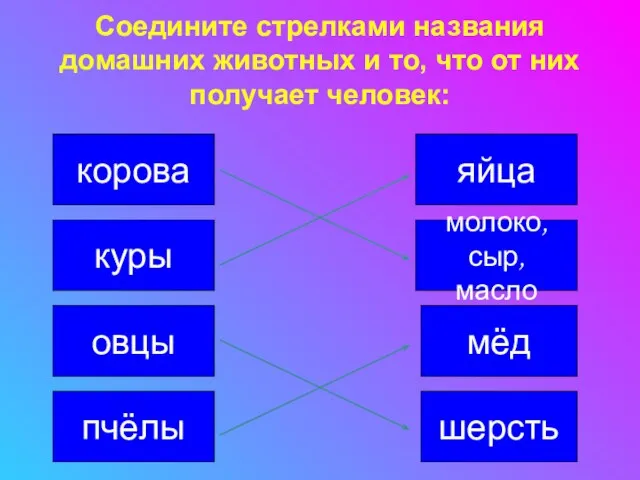 Соедините стрелками названия домашних животных и то, что от них получает человек: