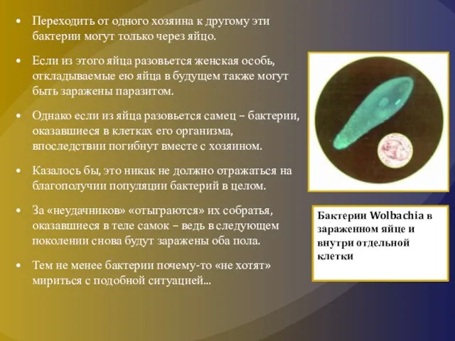 Переходить от одного хозяина к другому эти бактерии могут только через яйцо.