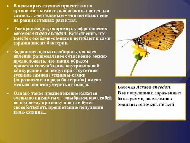 В некоторых случаях присутствие в организме «комменсалов» оказывается для самцов... смертельным –