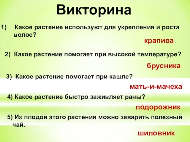 Викторина Какое растение используют для укрепления и роста волос? крапива 2) Какое