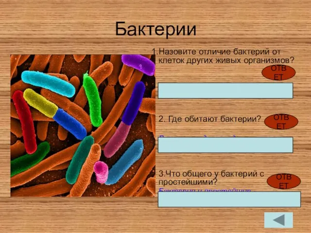 Бактерии Назовите отличие бактерий от клеток других живых организмов? Не имеют оформленного