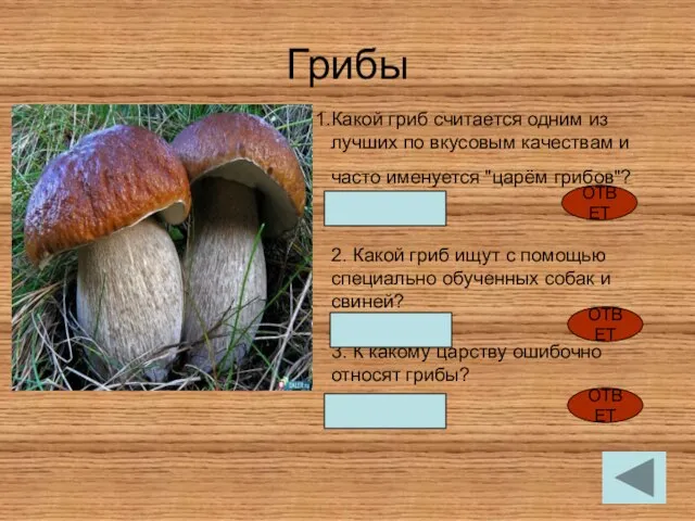 Грибы Какой гриб считается одним из лучших по вкусовым качествам и часто