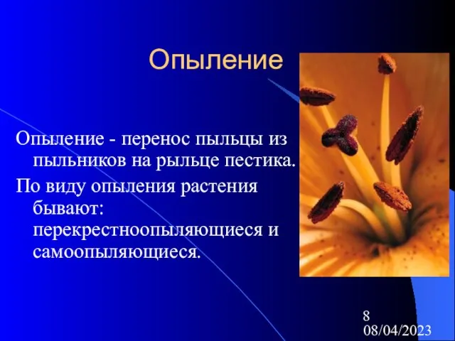 08/04/2023 Опыление Опыление - перенос пыльцы из пыльников на рыльце пестика. По