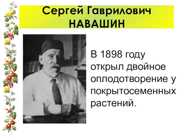 Сергей Гаврилович НАВАШИН В 1898 году открыл двойное оплодотворение у покрытосеменных растений.