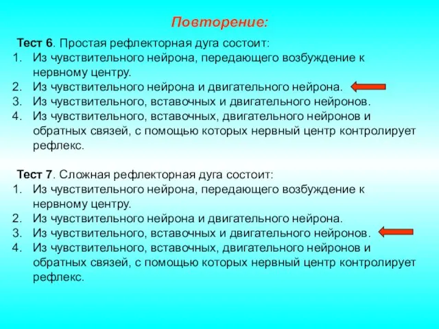 Повторение: Тест 6. Простая рефлекторная дуга состоит: Из чувствительного нейрона, передающего возбуждение