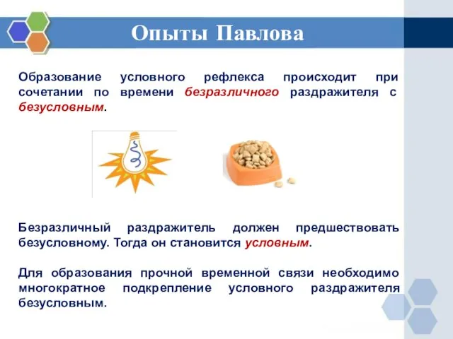 Опыты Павлова Образование условного рефлекса происходит при сочетании по времени безразличного раздражителя