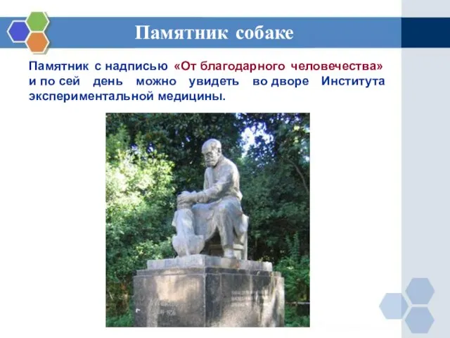 Памятник с надписью «От благодарного человечества» и по сей день можно увидеть